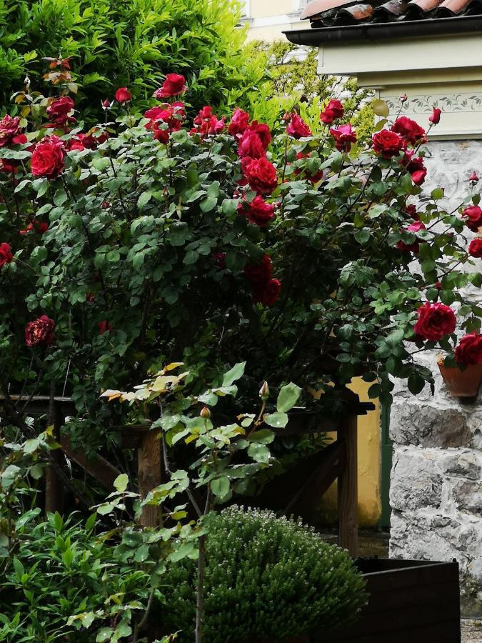 East Wind Bed and Breakfast Medea Buitenkant foto